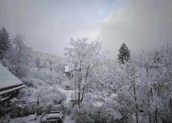 Black Horse * Karpacz