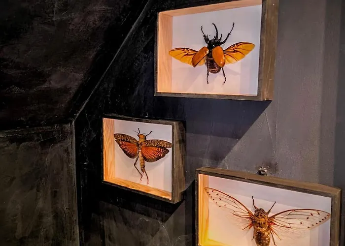 Apartment Black Horse